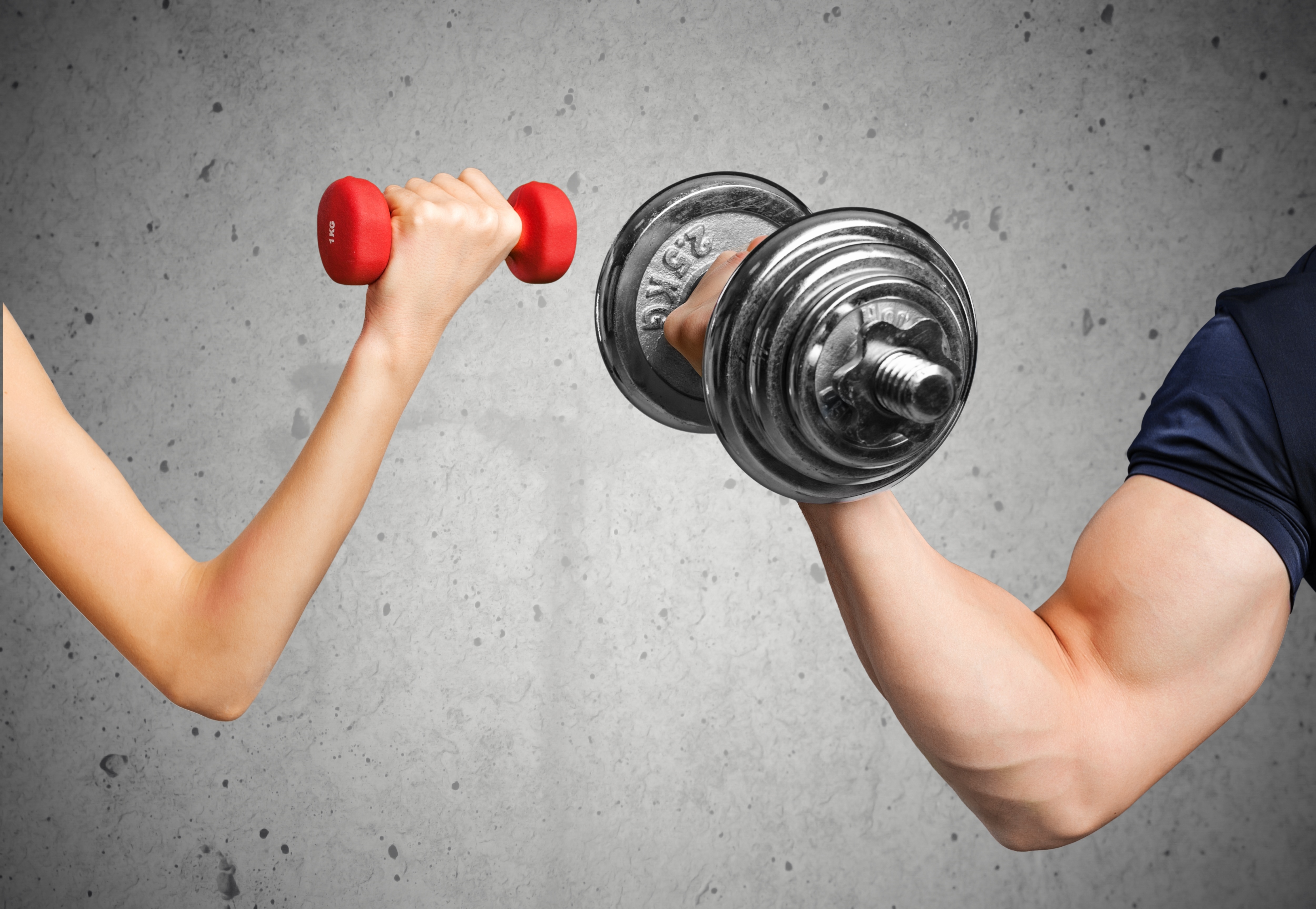 classification essay topics