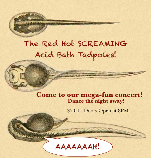 how to write a persuasive essay