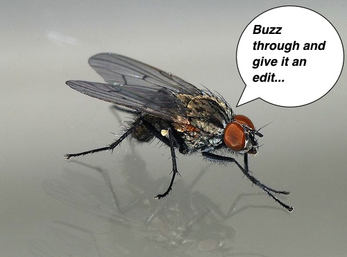 how to write a timed essay edit