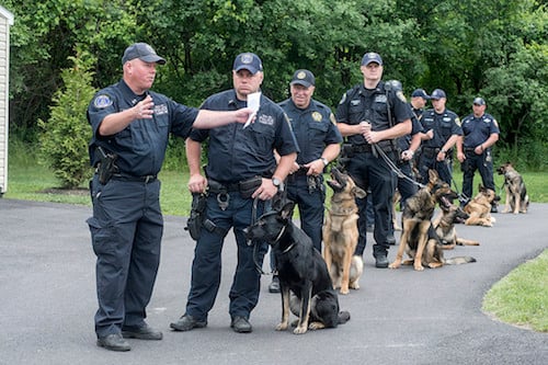 good abstract examples