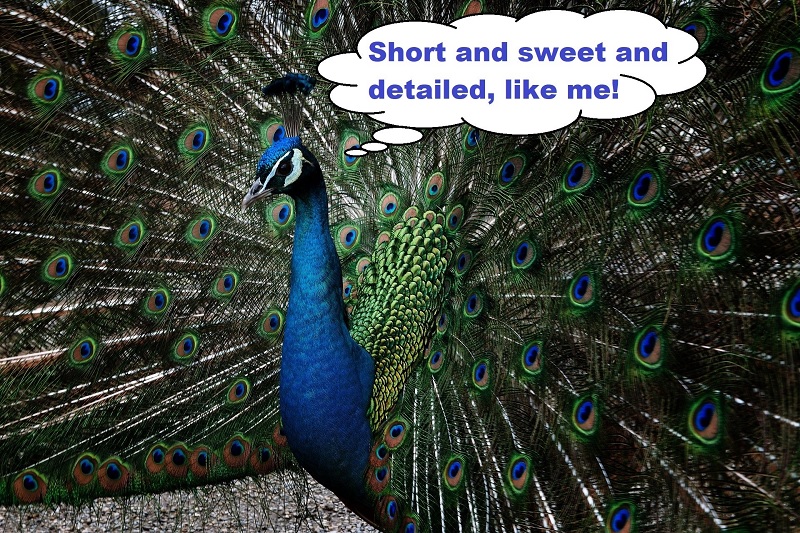 how to write a personal statement