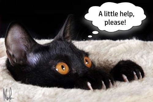 how to narrow a topic