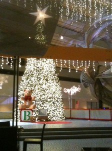 HyattRegencySFxmas2010