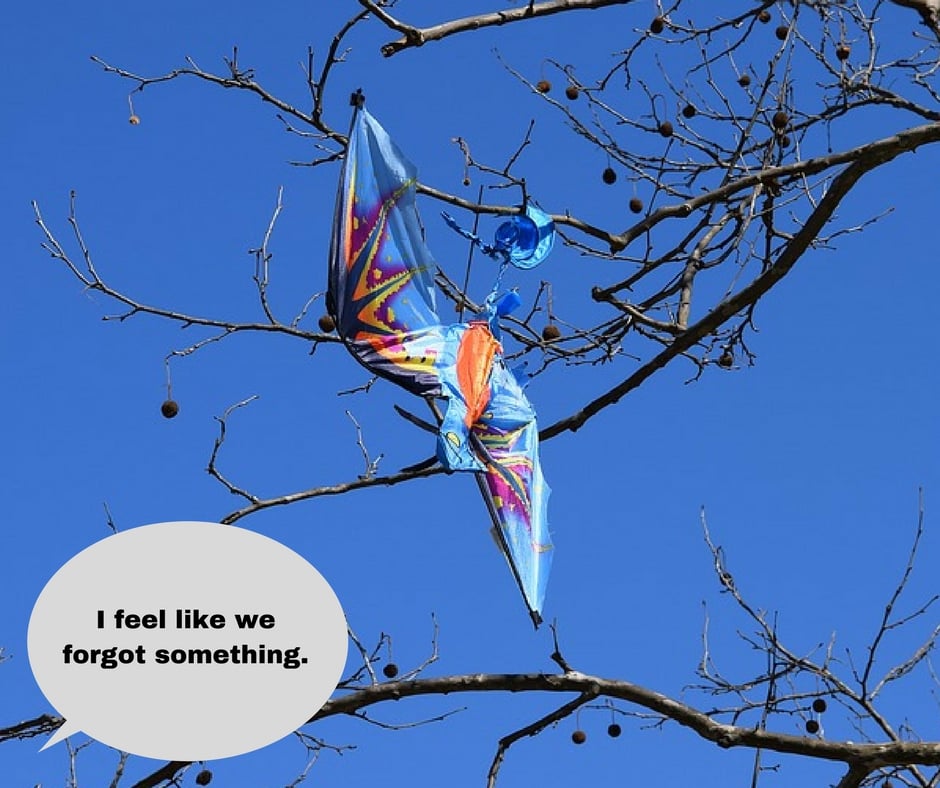 what is a claim in an essay