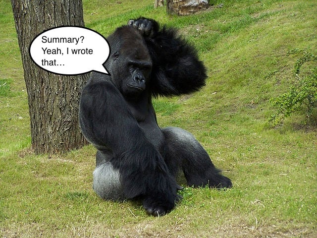 how to write a good essay don't rely on summary