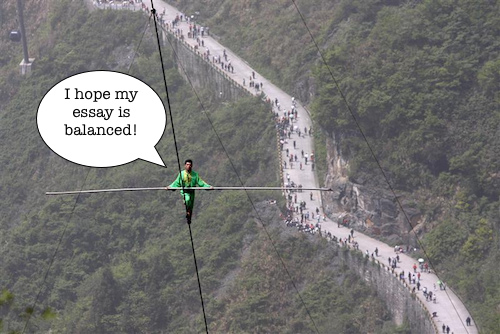 literary analysis essay