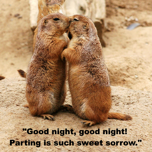 romeo and juliet essay