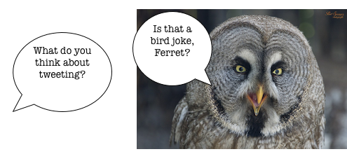 writing a thesis statement